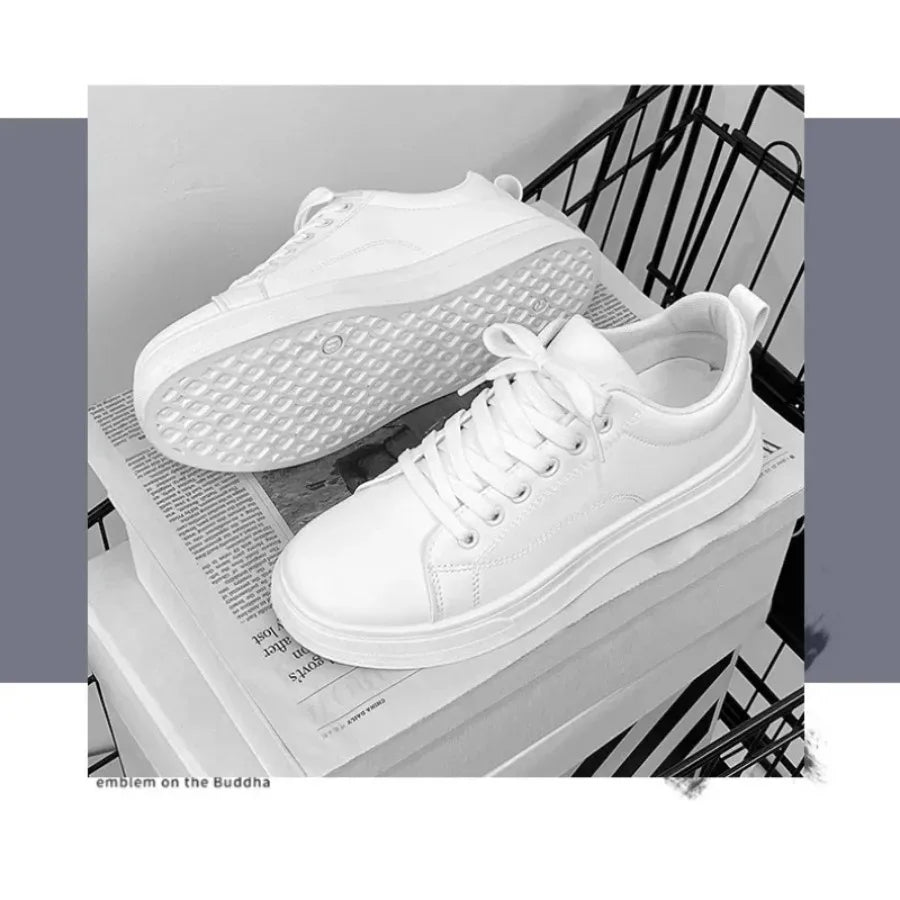 Sb89a56529ce5489db795716d2305d5d7x